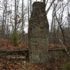 Stone chimney and foundations in wooded area