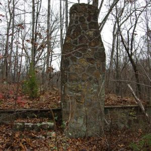 Stone chimney and foundations in wooded area