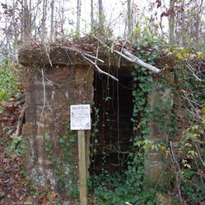 Abandoned brick building covered in vines in wooded area