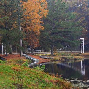 Suspension bridge over water with fall foliage