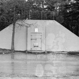 Military bunker and tree