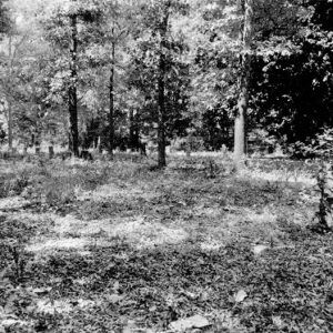 Gravestones in overgrown cemetery with trees in the background