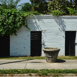 Single-story brick building with bars, overgrown with vines, and sidewalk and planter