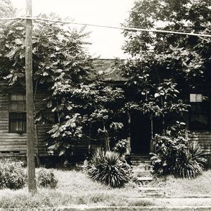 Single-story house behind trees on street