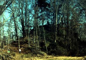 Man at base of large tree covered mound in field