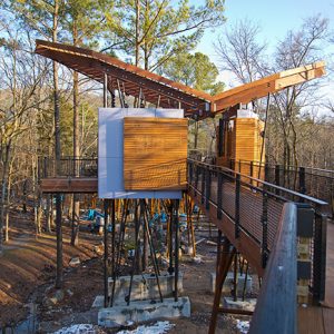 Raised walking platform through wooded area