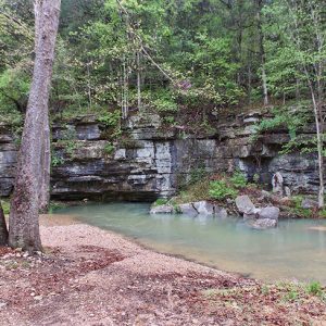 Creek running past rock cliff face with pair of trees in the foreground