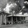 Cabin with covered porch and tree