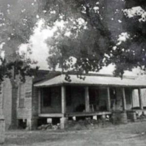 Cabin with covered porch and tree