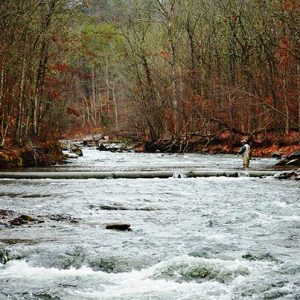 River with rapids surrounded by autumn trees