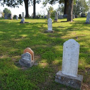 rows of gravestones in cemetery with trees