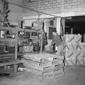 White man stacking boxes onto palettes in bottling plant