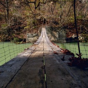 Looking down a walking bridge spanning a creek with netting on both sides of the bridge and wooded area at the far end