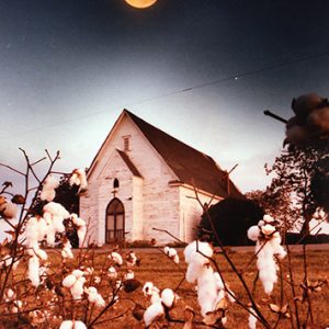 Single-story building under full moon with cotton plant in the foreground