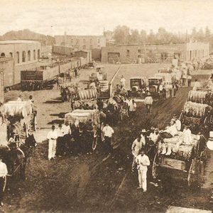 Horse drawn wagons loaded with cotton at rail yard with multistory buildings and storefronts in the background