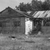 Abandoned school house with overgrown grounds