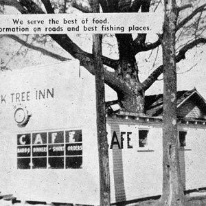 Single-story cafe building with tree growing through it