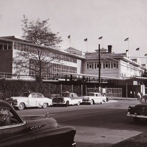 Concrete and glass building with ivy covered wall street and parked cars