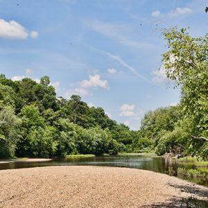 River with sandbar and green foliage on both sides