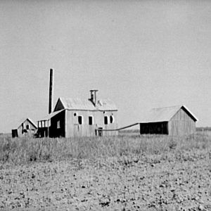 wood buildings in dirt field with tree