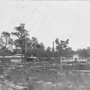 Industrial facility with trees in the foreground