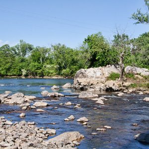 River with white stones in riverbed and trees in the background