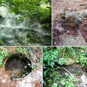 A. Steam rising from hot spring
B. Spring with brick wall
C. Spring well in ground
D. Natural spring with green leaves