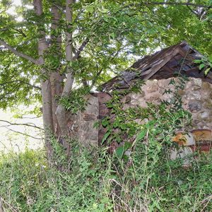 stone outhouse under trees and overgrown vegetation