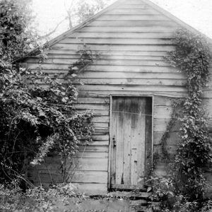 Old abandoned wooden building overgrown with vines