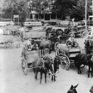 Large group of men with horses and wagons