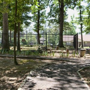 Cemetery behind an iron fence with trees and walking path