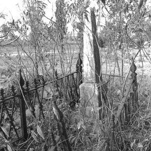 Obelisk shaped monument inside iron fence in overgrown grave