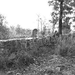 Gravestones visible over overgrown wall in cemetery