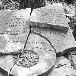 Broken gravestone and tree in cemetery