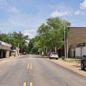 Street with storefronts trees and parked cars