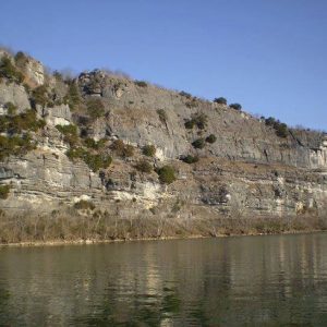 Bushes growing on tall rock bluffs on river