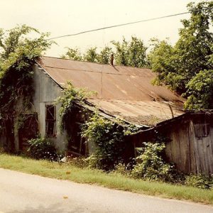 Overgrown and dilapidated wood and sheet metal building on street