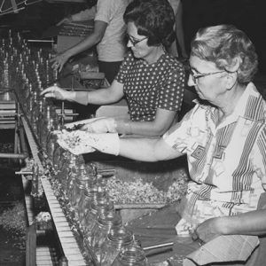 White women with glasses working at assembly line of jars