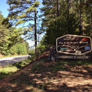 "Pig Trail Scenic Byway" sign with stone base and street