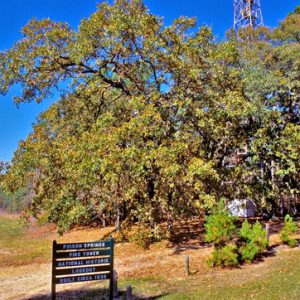 Tall fire tower with trees and sign below it