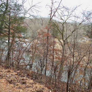 Bayou as seen through autumn trees