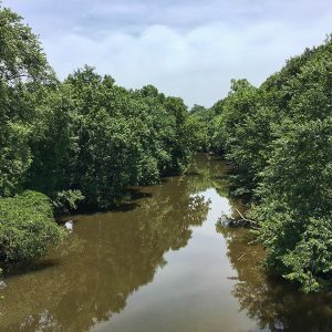 River as seen from bridge above