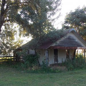 Overgrown abandoned house with covered porch