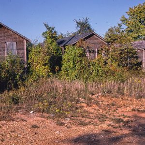 Single-story cabins in overgrown field