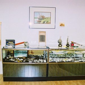 Glass display cases in room with framed pictures on the walls