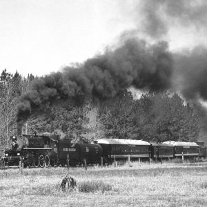 Steam locomotive billowing smoke with trees and field