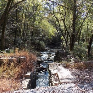 Rock foundations on creek in forested area