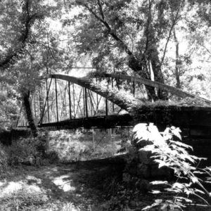 Arched bridge on stone foundation covered in vines over dry creek in forest