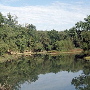 Trees reflected in river under blue skies