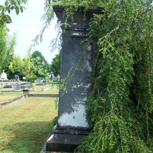 Column shaped gravestone and tree in cemetery